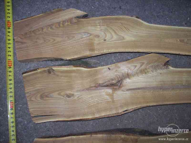 dekotativní dřevo škumpa orobincová, dřevo k dekoraci..... - foto 14