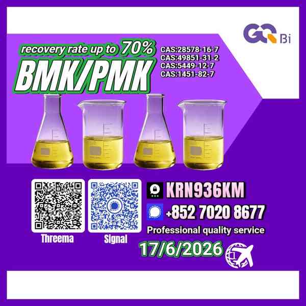 Global Supply CAS:28578-16-7 / 5449-12-7 / 1451-82-7 / 49851 - foto 1