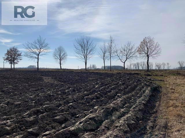 Prodej pozemku pro bydlení, 2528 m2, Dříteň - foto 7