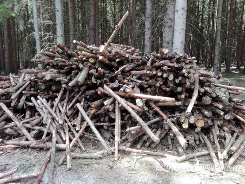 Palivové dřevo smrk, borovice - foto 1