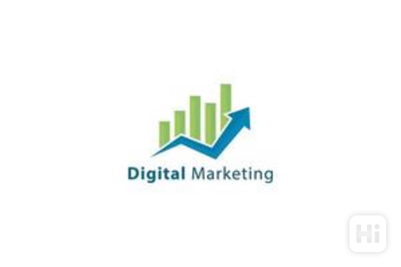 xgfd - foto 1