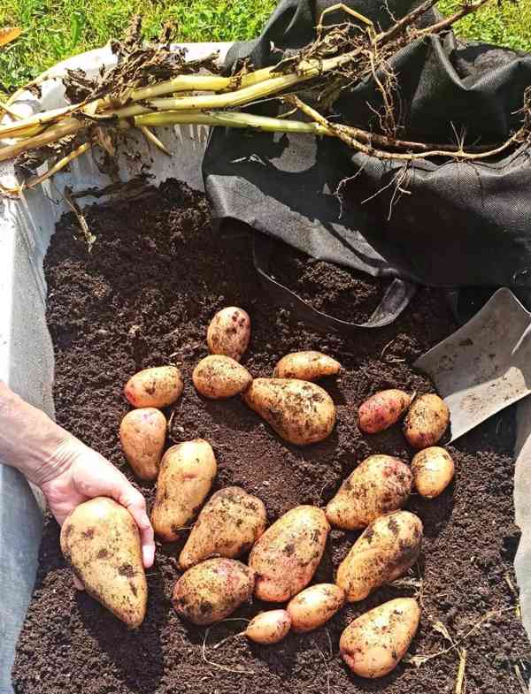 Moon River textilní květináč na brambory černý objem 33 l  - foto 4