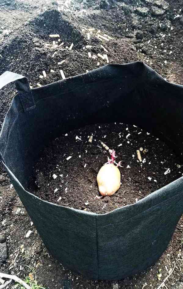 Moon River textilní květináč na brambory černý objem 33 l  - foto 3