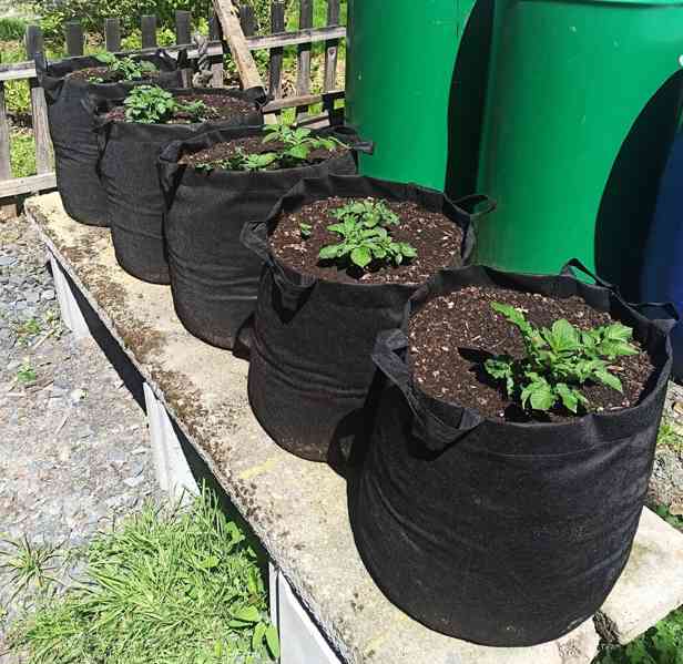 Moon River textilní květináč na brambory černý objem 33 l  - foto 2