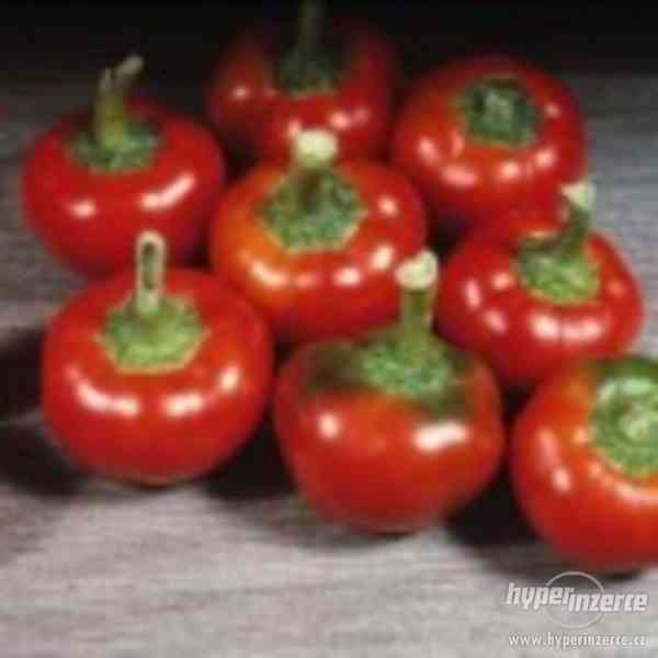 Chilli paprička large red cherry - semena - foto 1