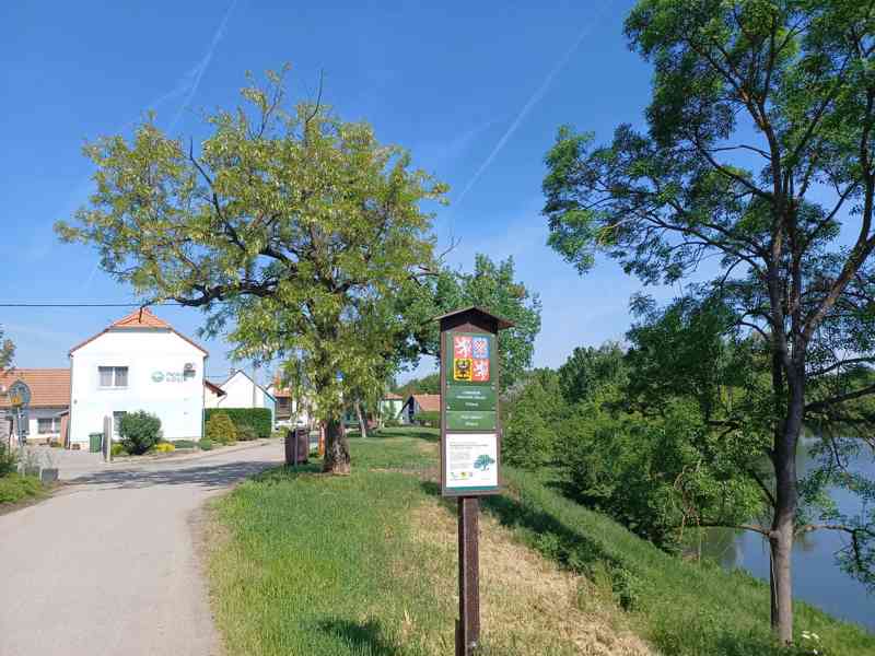 Prodej rodinného domu, ubytovacího zažízení - foto 3