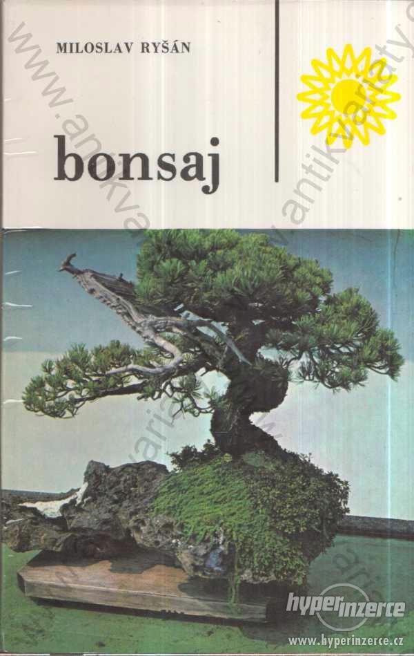 Bonsaj  Miloslav Ryšán  1989 - foto 1