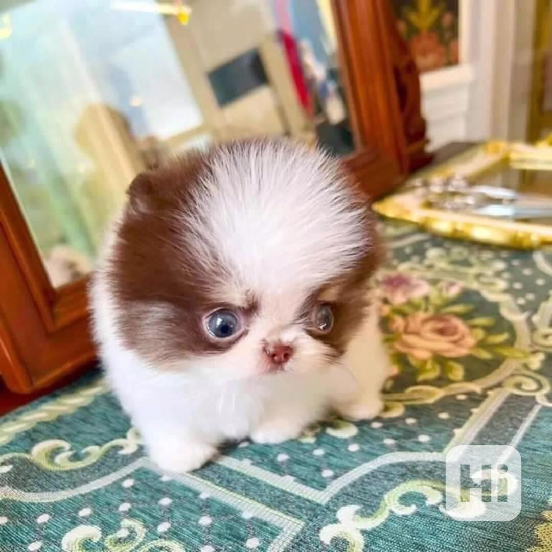 Pomořansko Pps - foto 1