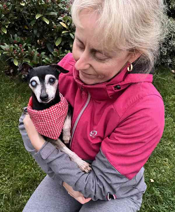 RONÍČEK - 3 kg, kastrovaný psík 13 let  - foto 2