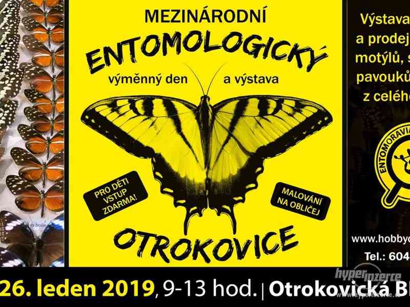 Entomologická výstava, OTROKOVICE, 26.1.2019 - foto 2