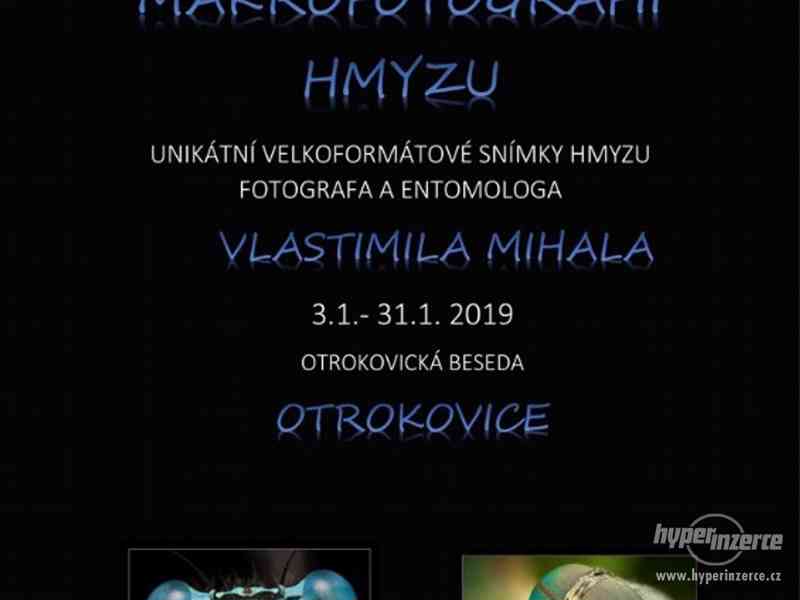 Entomologická výstava, OTROKOVICE, 26.1.2019 - foto 4