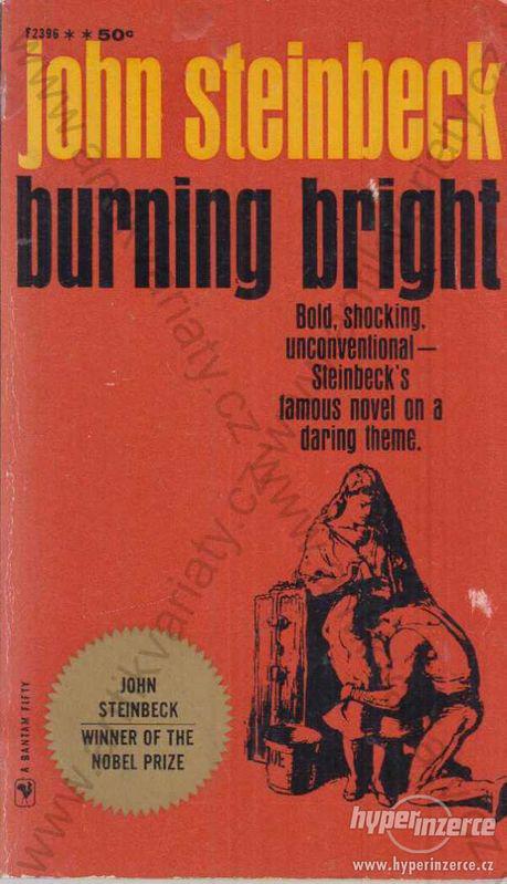 Burning bright John Steinbeck 1962 - foto 1