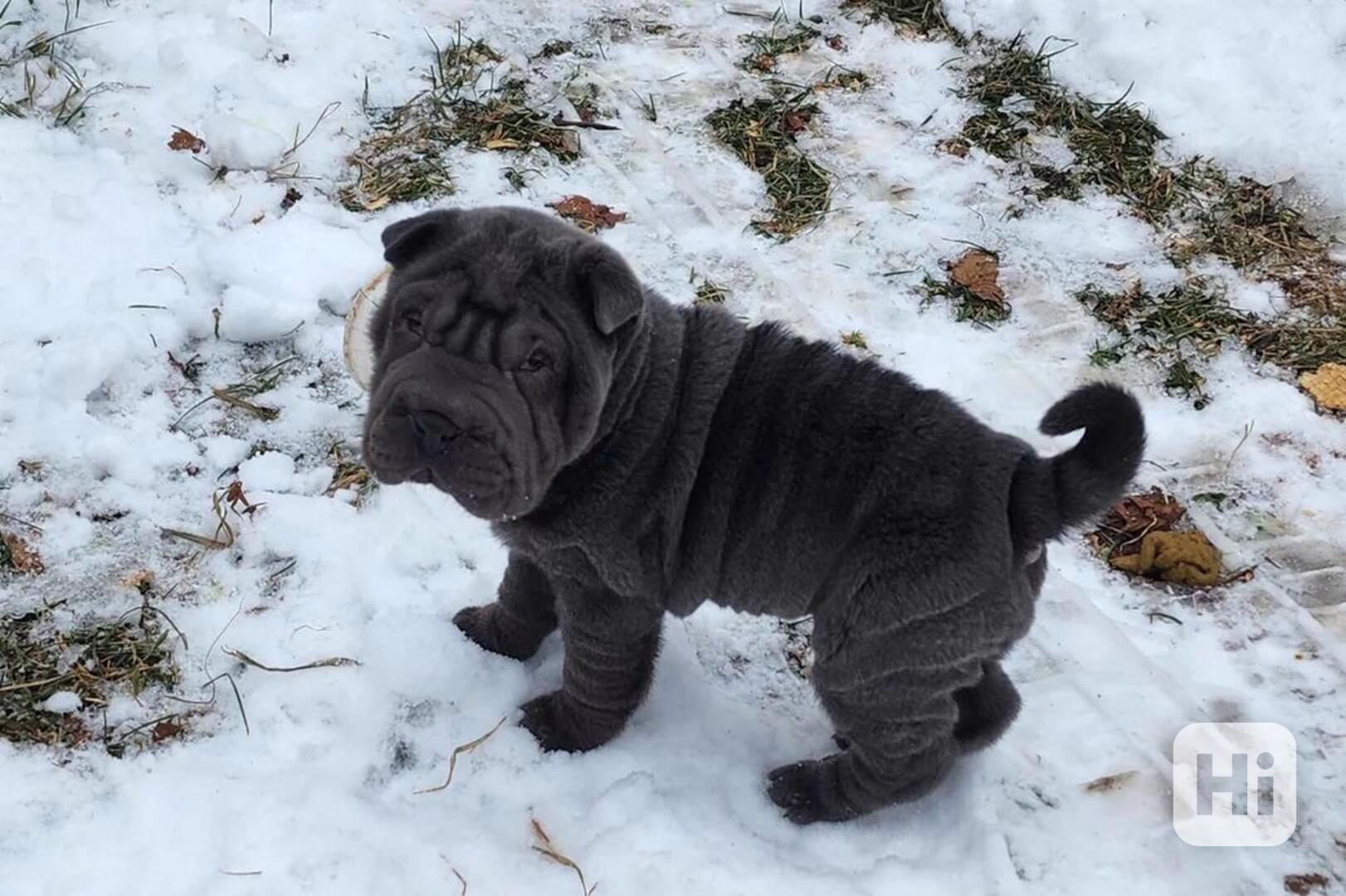 Džíny modrý mini šarpej - foto 1