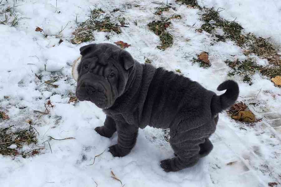 Džíny modrý mini šarpej - foto 2