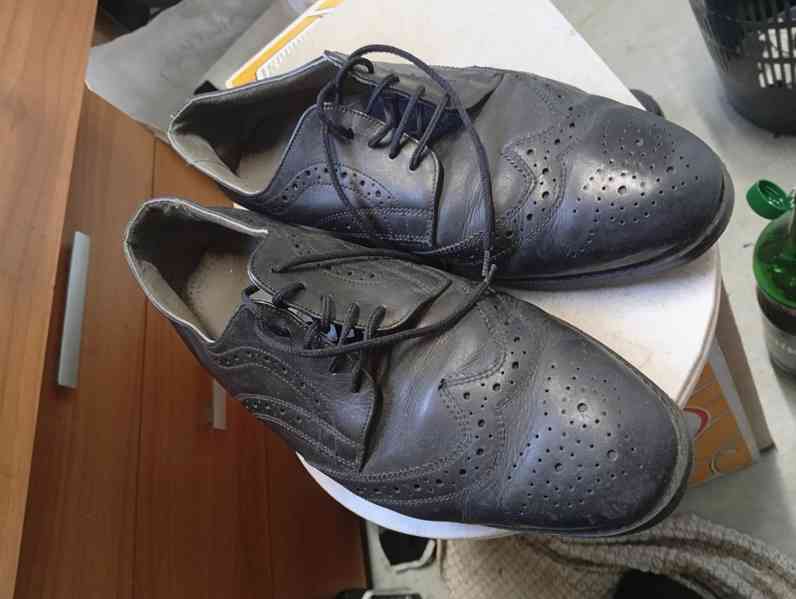 polobotky panské - foto 2