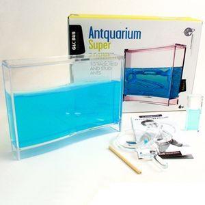 Mravenčí akvárium - antquarium - foto 3