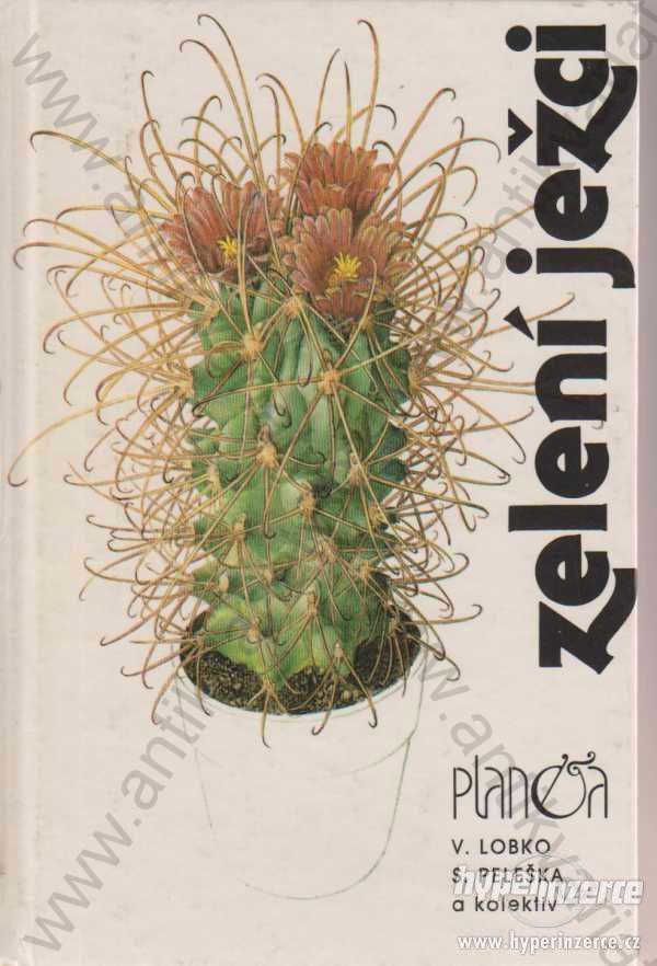 Zelení ježci V. Lobko, S. Peleška a kol. 1989 - foto 1
