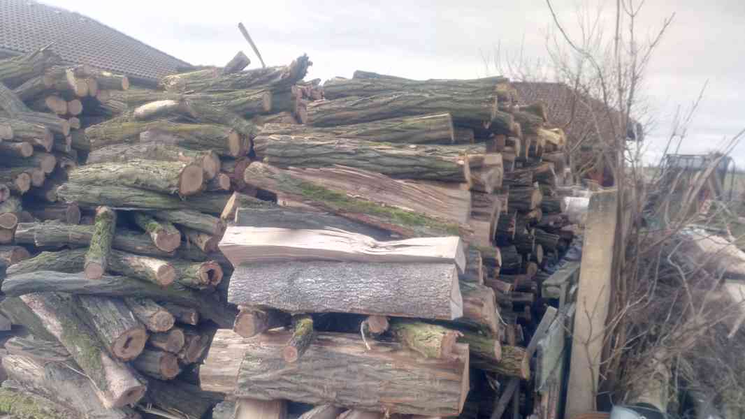 Suché tvrdé štípané palivové dřevo do krbu - foto 3
