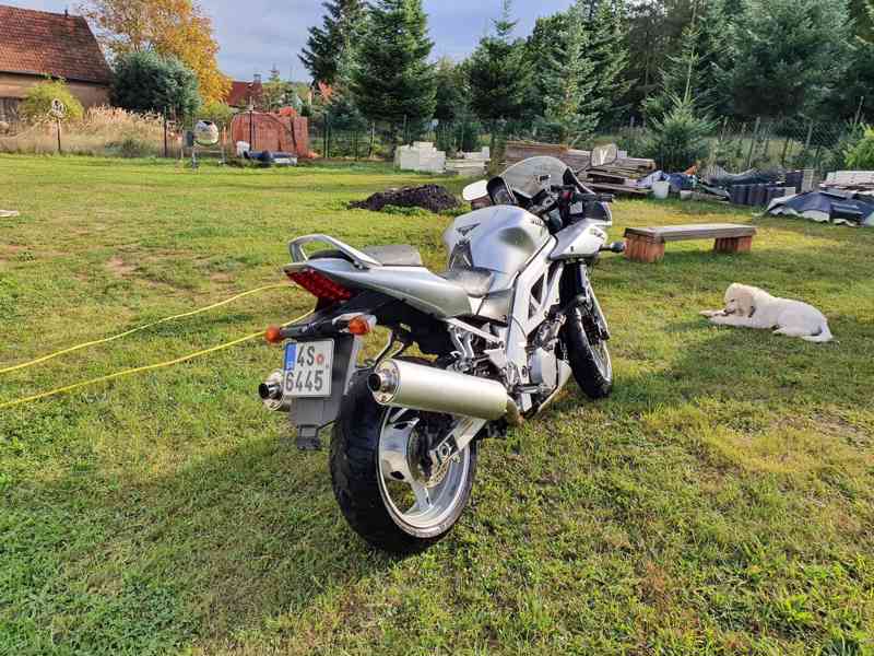 Suzuki SV 1000 - foto 6