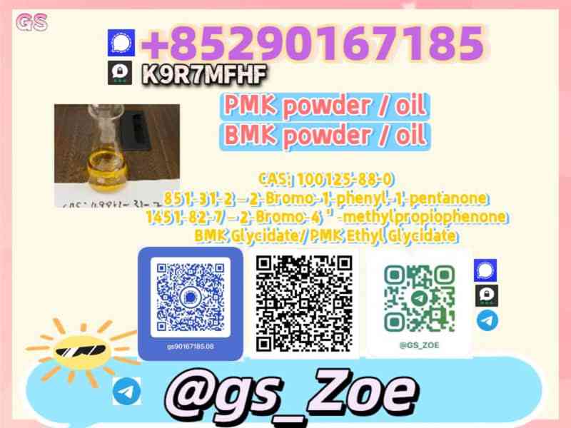 28578-16-7, 5449-12-7 B.M.K , P.M.K — From Pilot Runs to Mas - foto 8