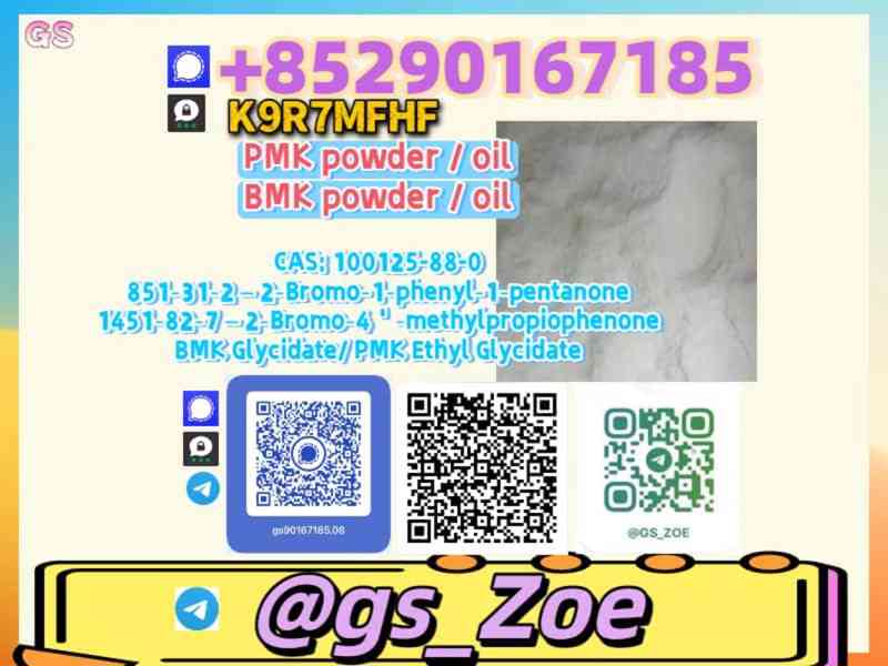 28578-16-7, 5449-12-7 B.M.K , P.M.K — From Pilot Runs to Mas - foto 3