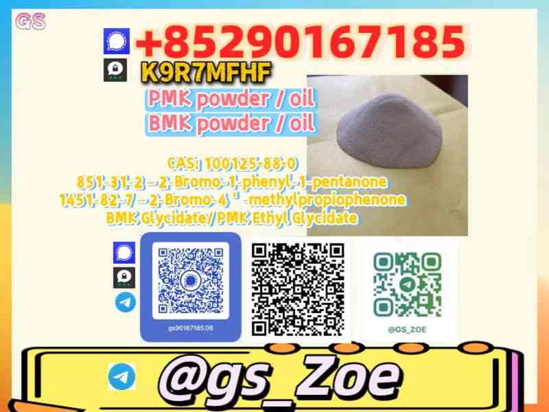28578-16-7, 5449-12-7 B.M.K , P.M.K — From Pilot Runs to Mas - foto 4