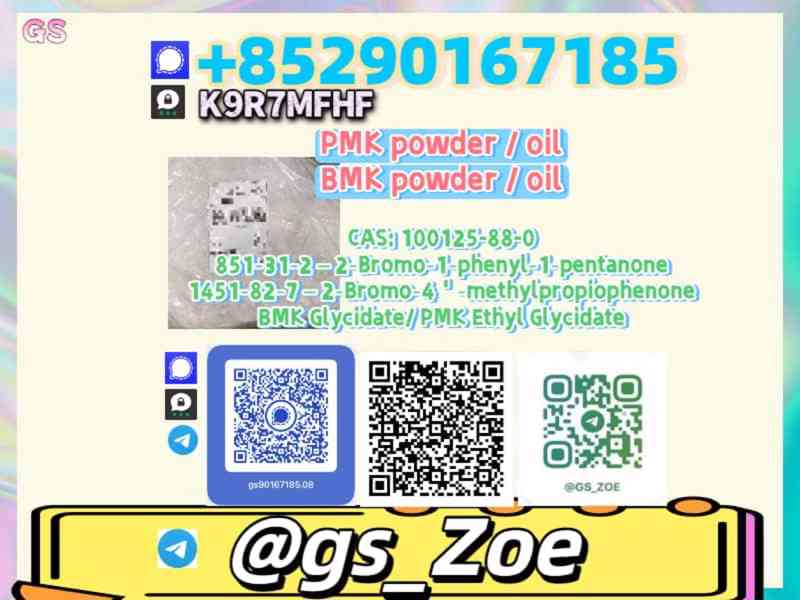 28578-16-7, 5449-12-7 B.M.K , P.M.K — From Pilot Runs to Mas - foto 5