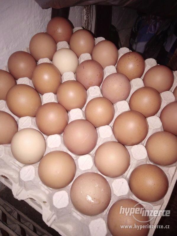 Vajíčka Domácí 1kus za 4 Kč - foto 1