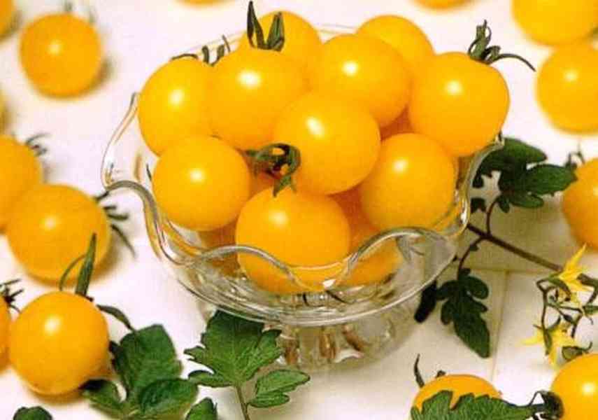 Rajče truhlíkové Aztek - semena