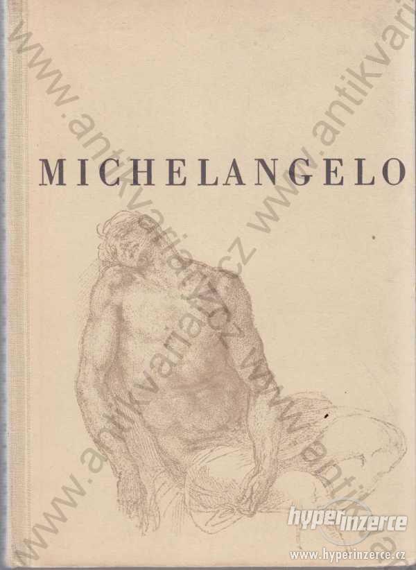 Michelangelo Buonarroti - foto 1
