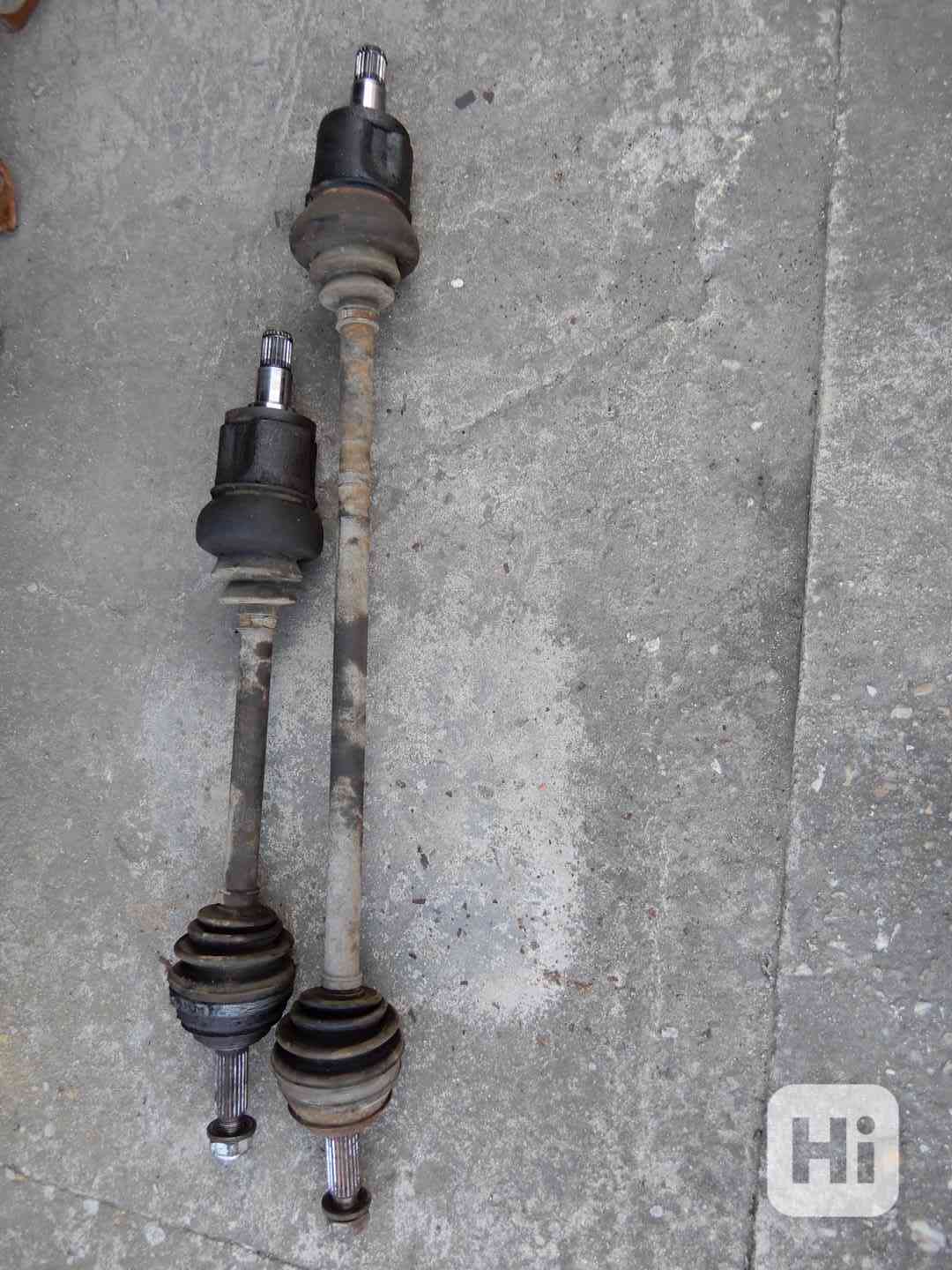 Poloosa Felicia - foto 1