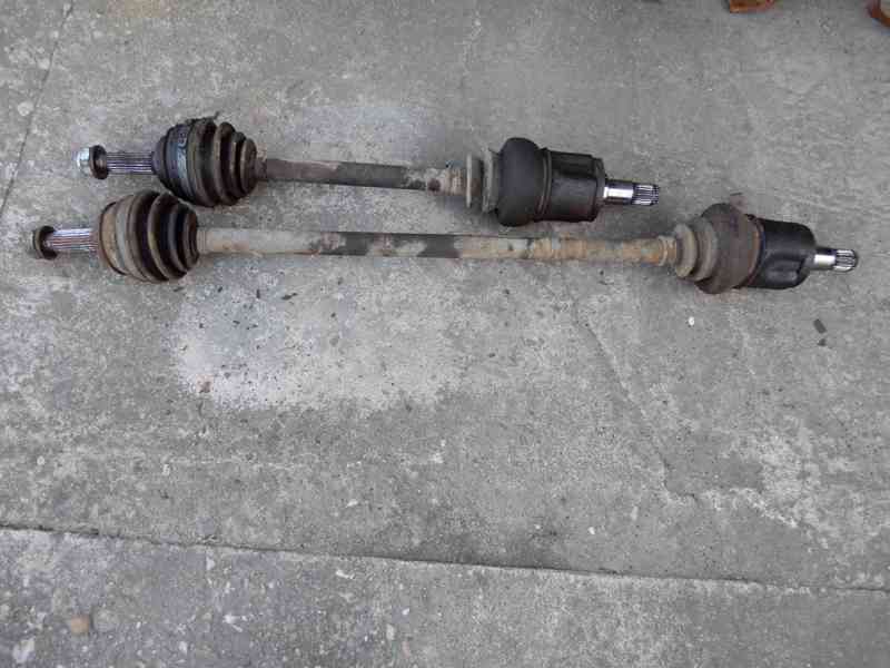 Poloosa Felicia - foto 1