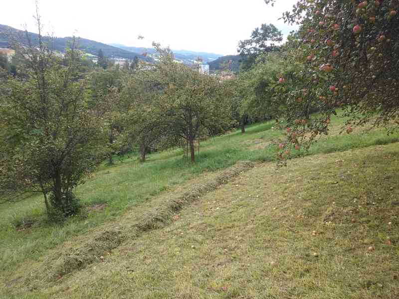 Prodej až 3 stavebních pozemků celkem 5038m2 Vsetín - foto 10