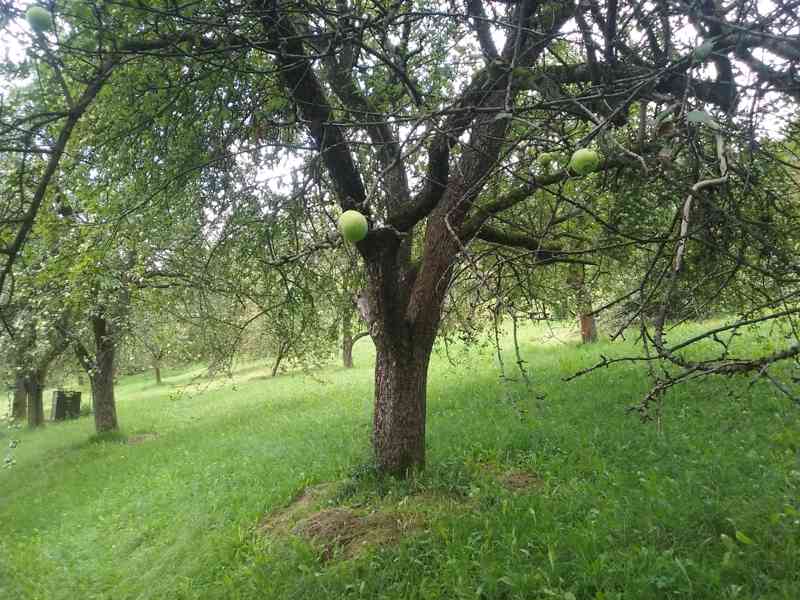 Prodej až 3 stavebních pozemků celkem 5038m2 Vsetín - foto 14