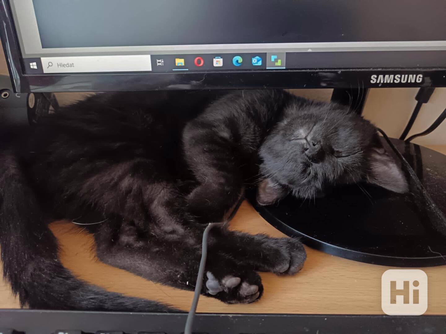 Fiškus je lepší než TV - foto 1