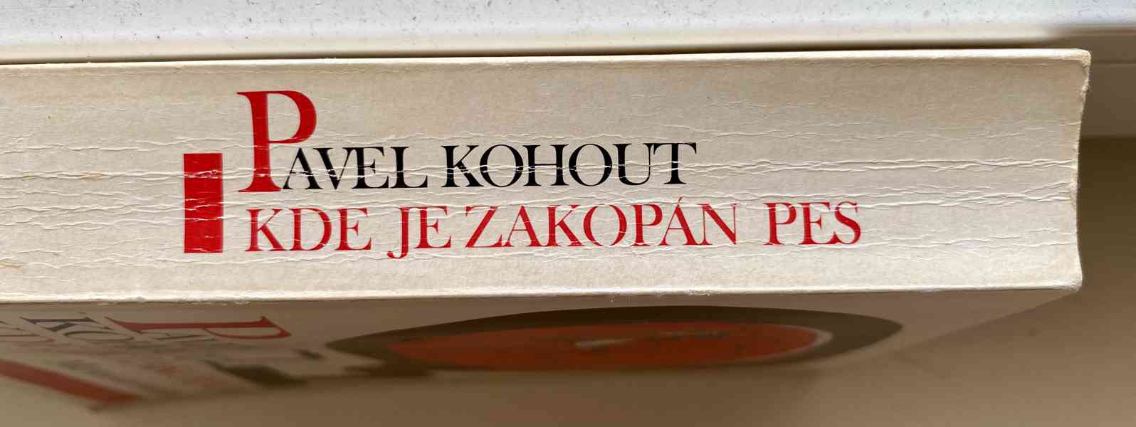 PAVEL KOHOUT - KDE JE ZAKOPÁN PES - foto 3