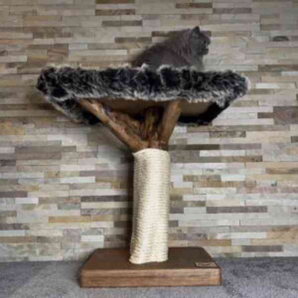 Kočičí stromy  - foto 2