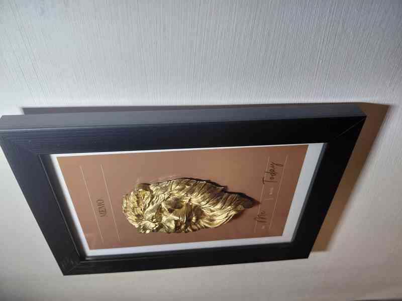 3D obar lva  - foto 3