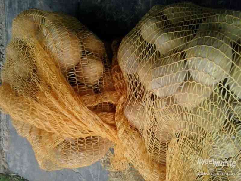 prodam brambory - foto 2