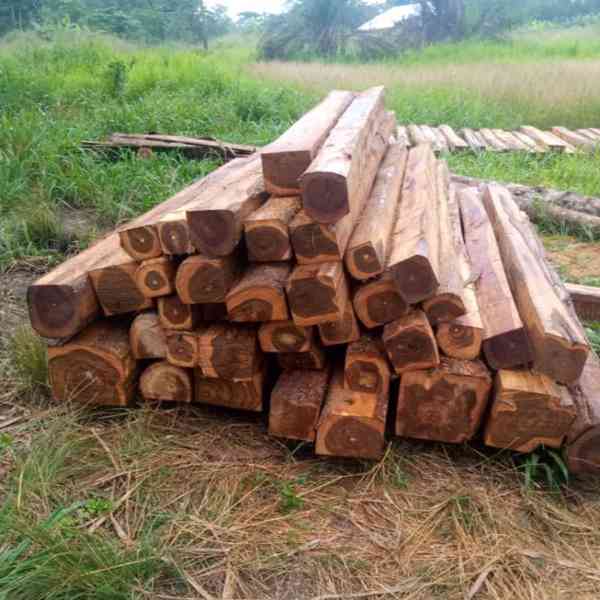 Timber in Africa for sale  - foto 3