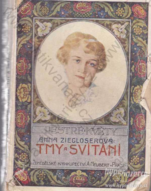 Tmy a svítání Anna Ziegloserová 1918 - foto 1