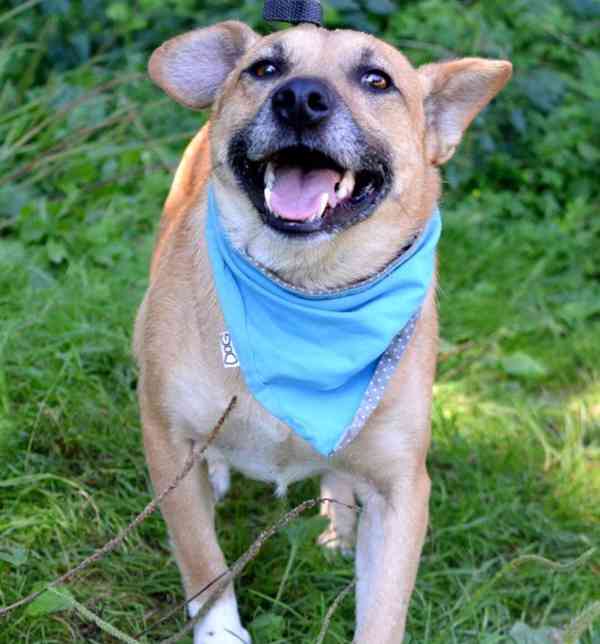 Dors - bazar - Hyperinzerce.cz