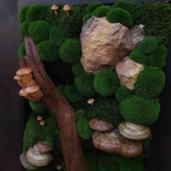 Mechový obraz / obraz ze stabilizovaného mechu - foto 5