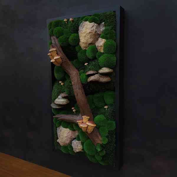 Mechový obraz / obraz ze stabilizovaného mechu - foto 3