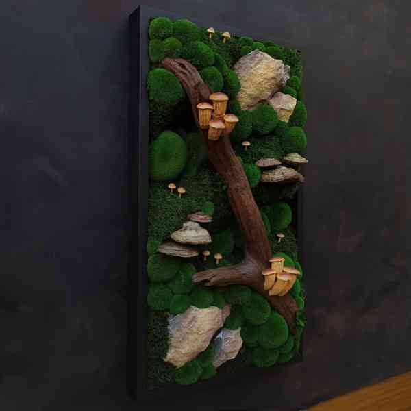 Mechový obraz / obraz ze stabilizovaného mechu - foto 2