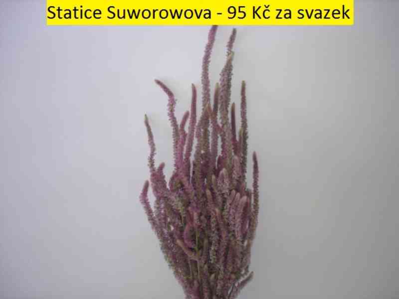 Sušené květiny - foto 45