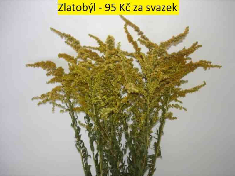 Sušené květiny - foto 64