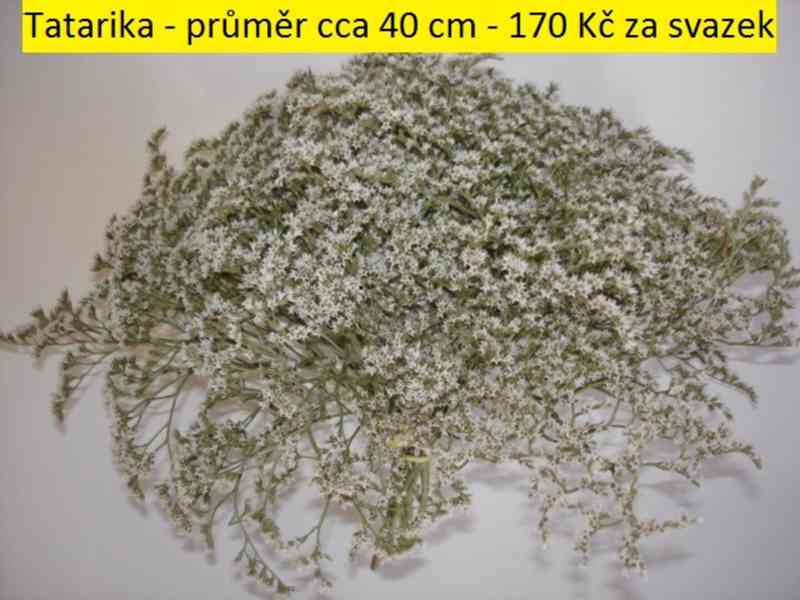 Sušené květiny - foto 61
