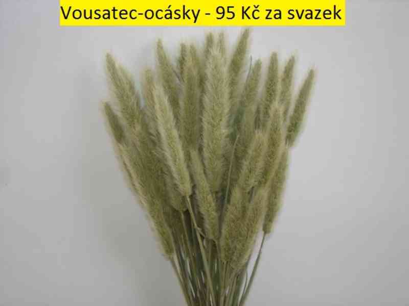 Sušené květiny - foto 62