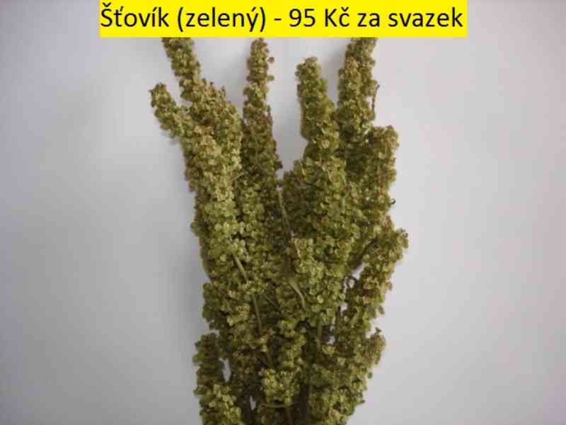 Sušené květiny - foto 59
